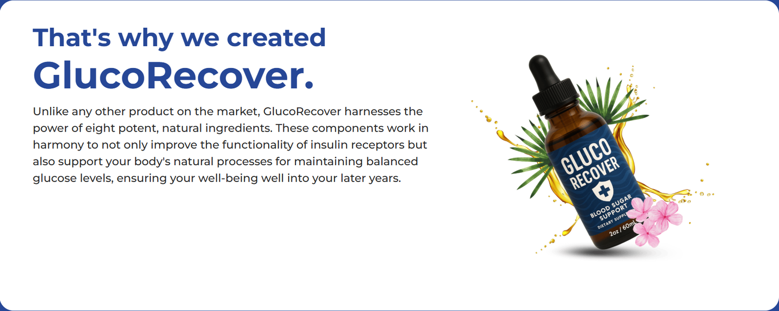 GLUCO RECOVER